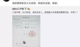 王力宏老爸爆料视频播放,揭秘明星家庭背后的故事