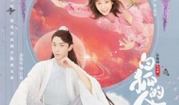 白狐的人生在线观看,穿越时空的奇幻之旅