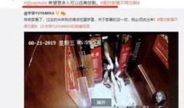 香港爆料家暴案视频,悲剧背后的人间冷暖